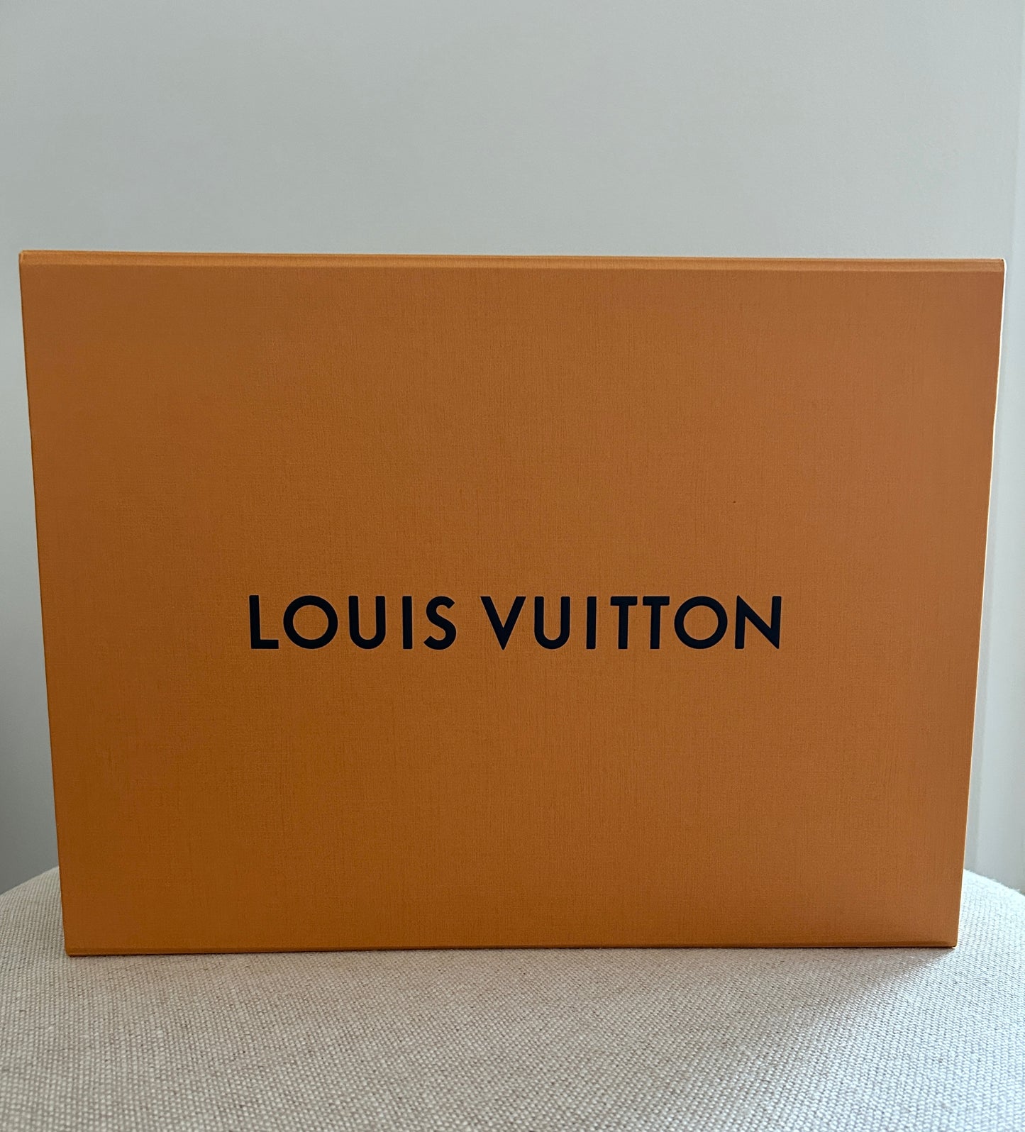 Louis Vuitton Mick PM in Damier Graphite