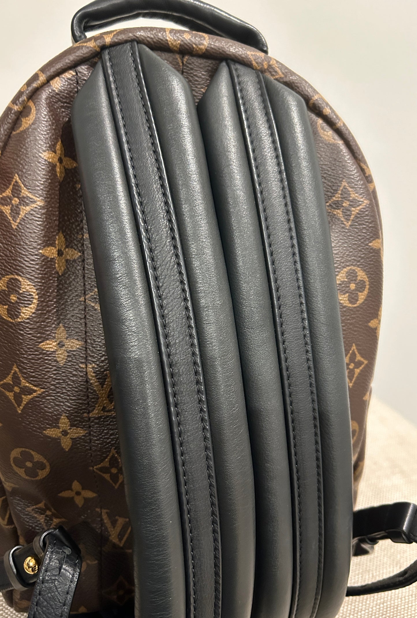 Louis Vuitton Palm Springs PM