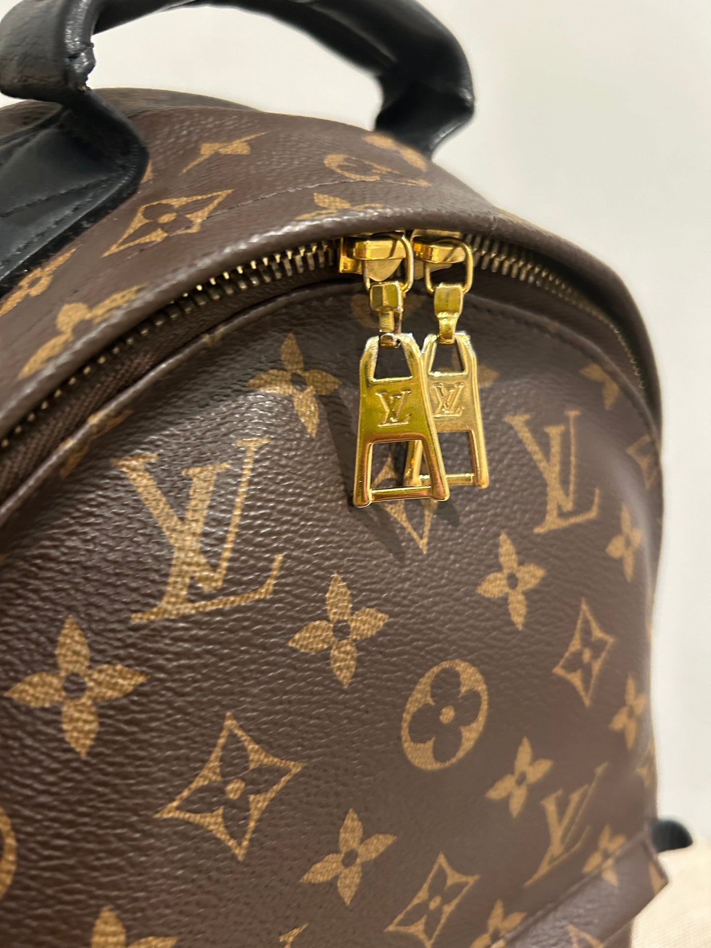 Louis Vuitton Palm Springs PM
