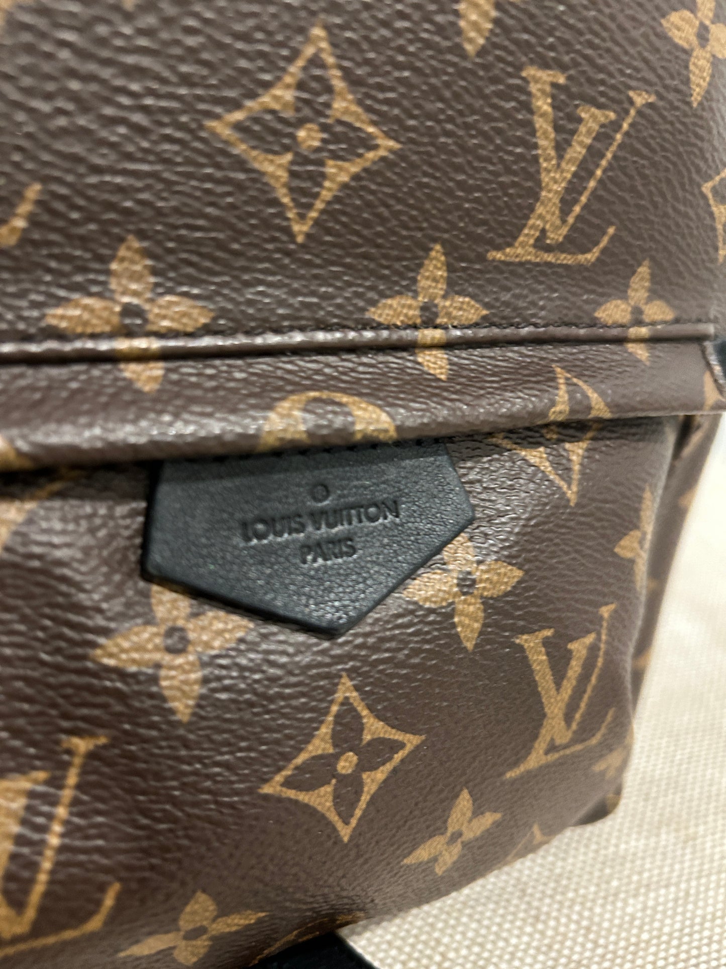 Louis Vuitton Palm Springs PM
