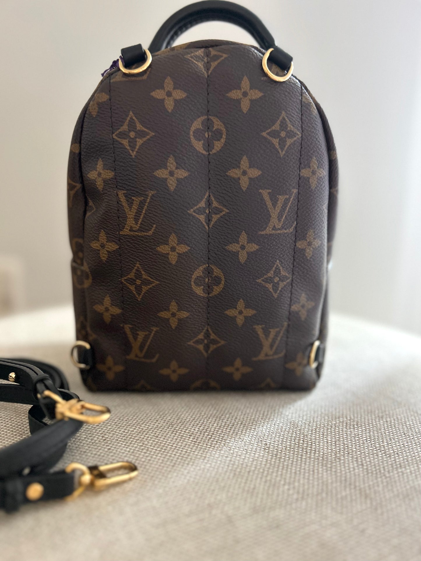 Louis Vuitton Palm Springs Monogram Backpack Mini