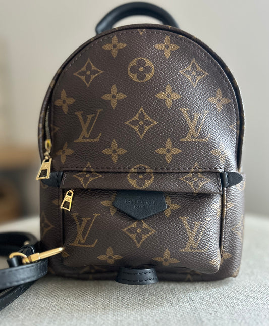 Louis Vuitton Palm Springs Monogram Backpack Mini