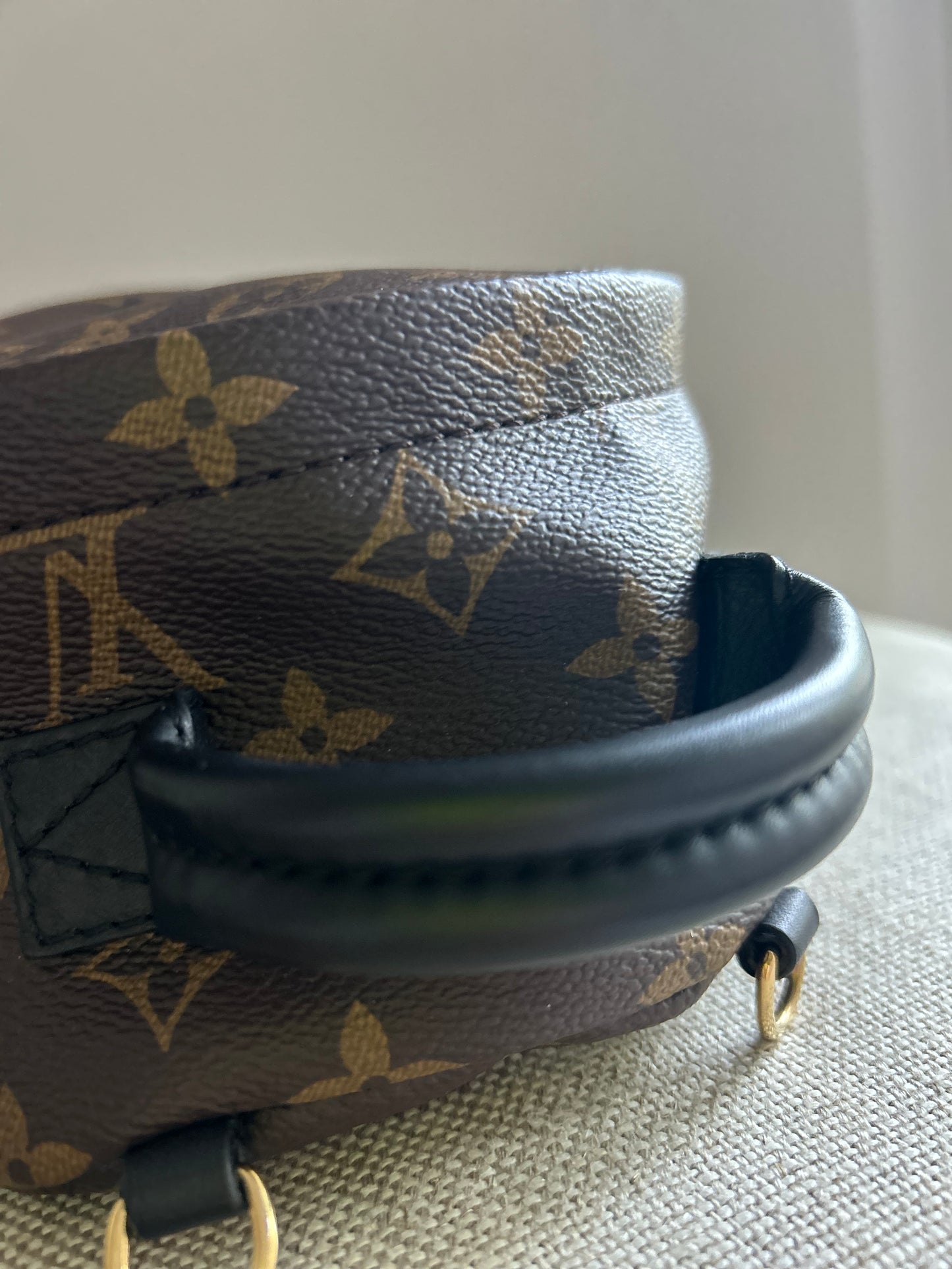 Louis Vuitton Palm Springs Monogram Backpack Mini