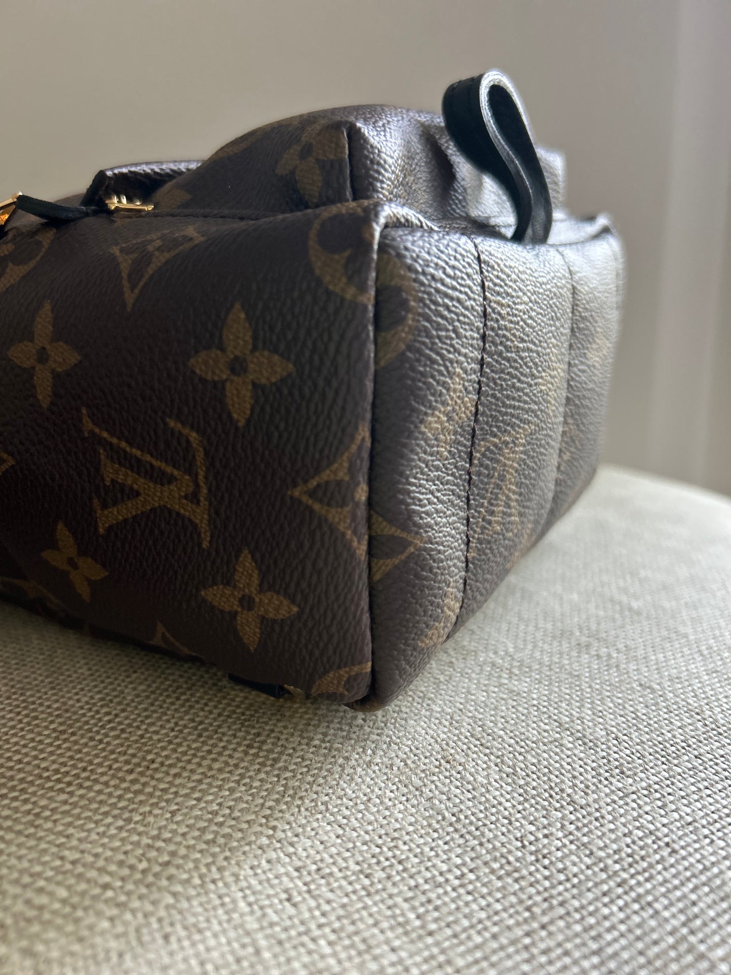 Louis Vuitton Palm Springs Monogram Backpack Mini