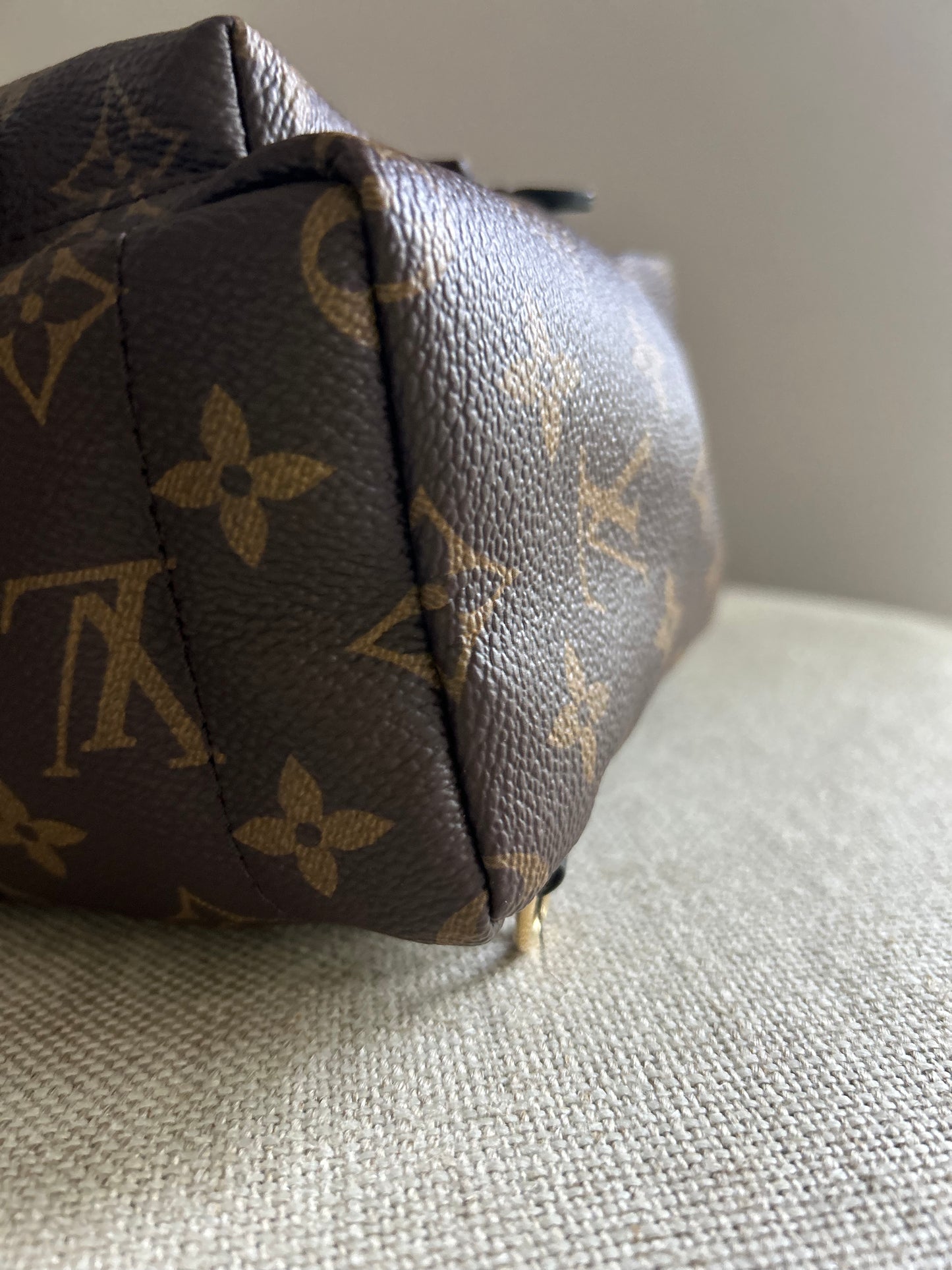 Louis Vuitton Palm Springs Monogram Backpack Mini