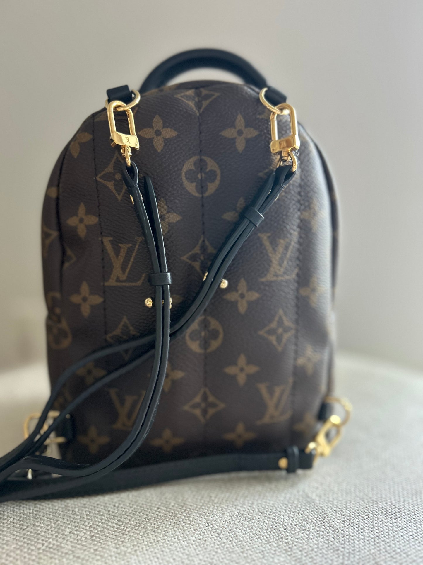 Louis Vuitton Palm Springs Monogram Backpack Mini