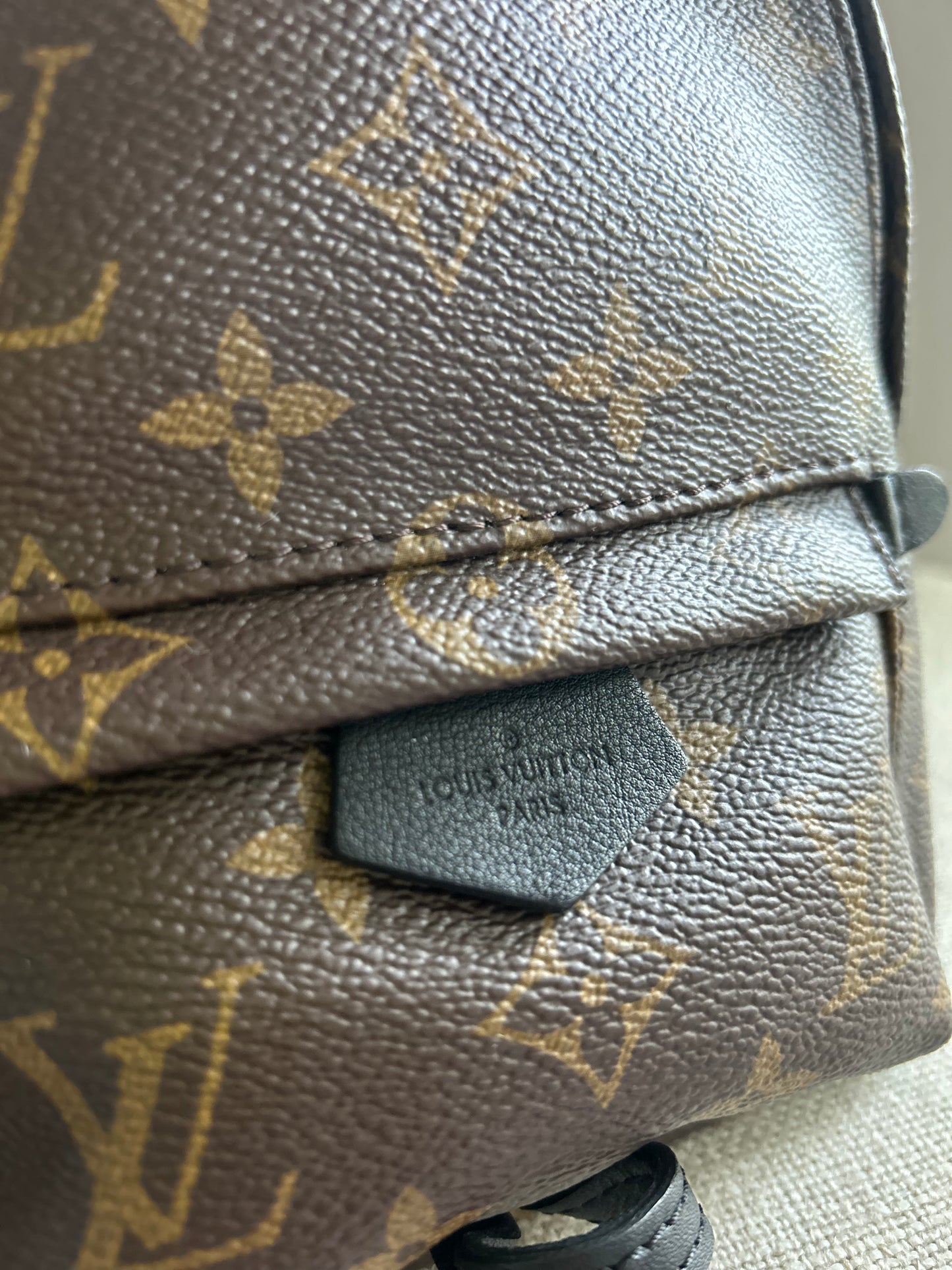 Louis Vuitton Palm Springs Monogram Backpack Mini